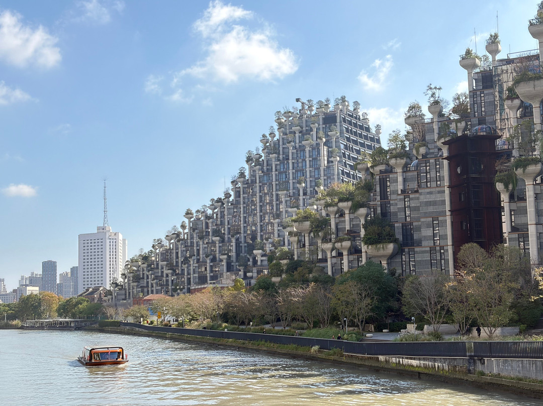 大洋晶典·天安千树