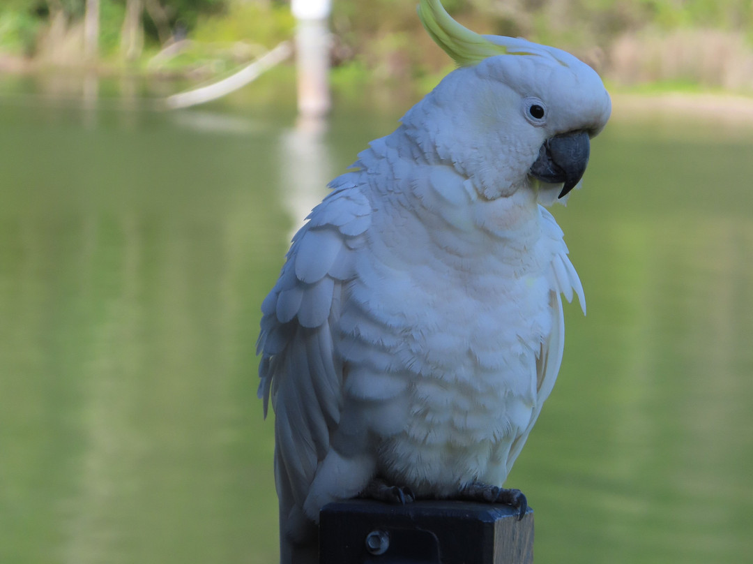 Edgewater Terraces at Metung主图