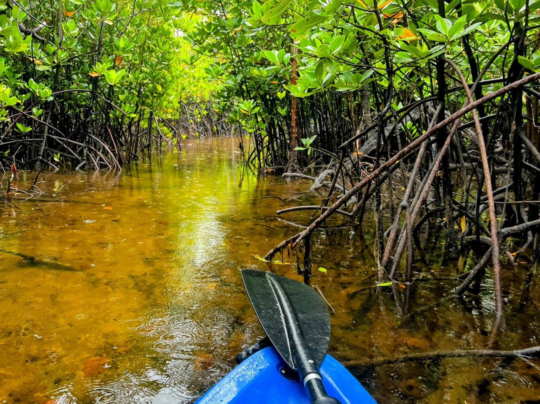 Bwejuu Mangrove Tunnels Kayak-必韦久必去景点