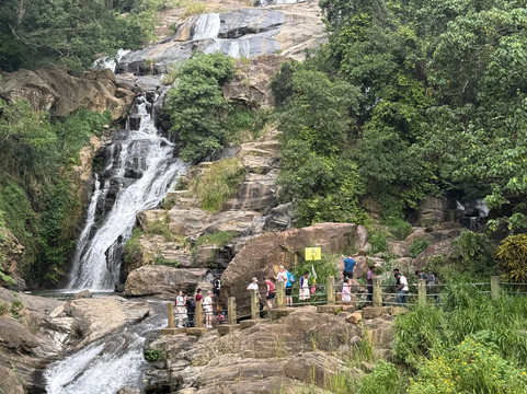 Jagath Tours - Day Tour-康提必去景点