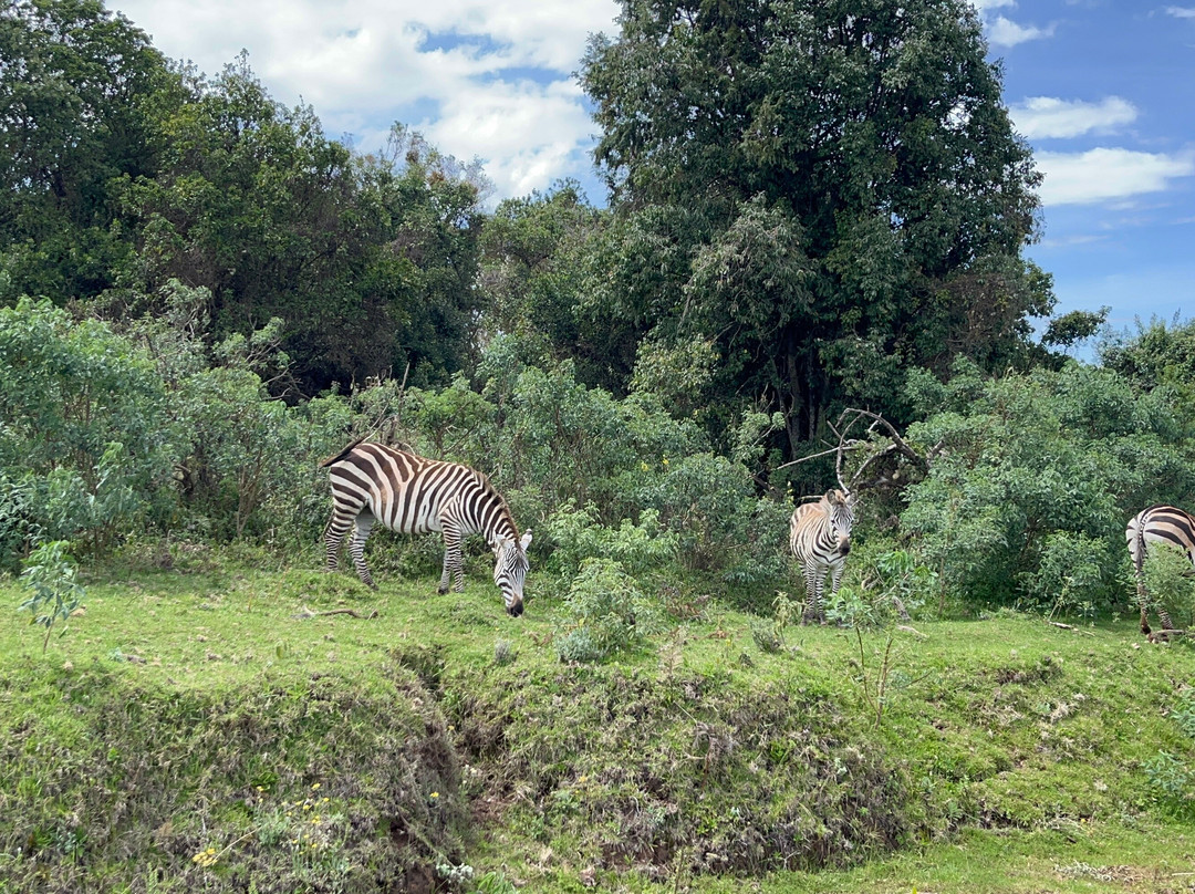 Tilman Safaris-南由基必去景点