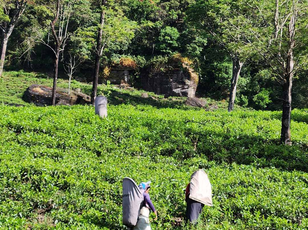 Explore More Travels & Tours-奴娃拉伊利雅必去景点