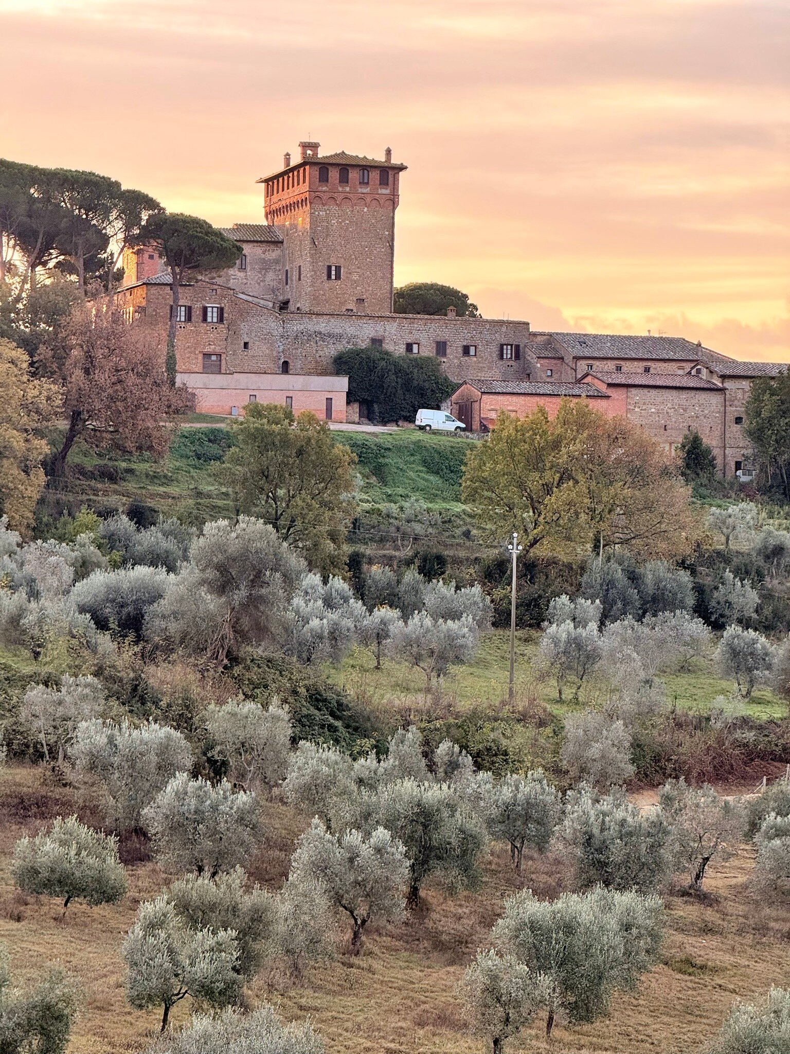 马瑟尼宫殿度假农庄酒店-官方