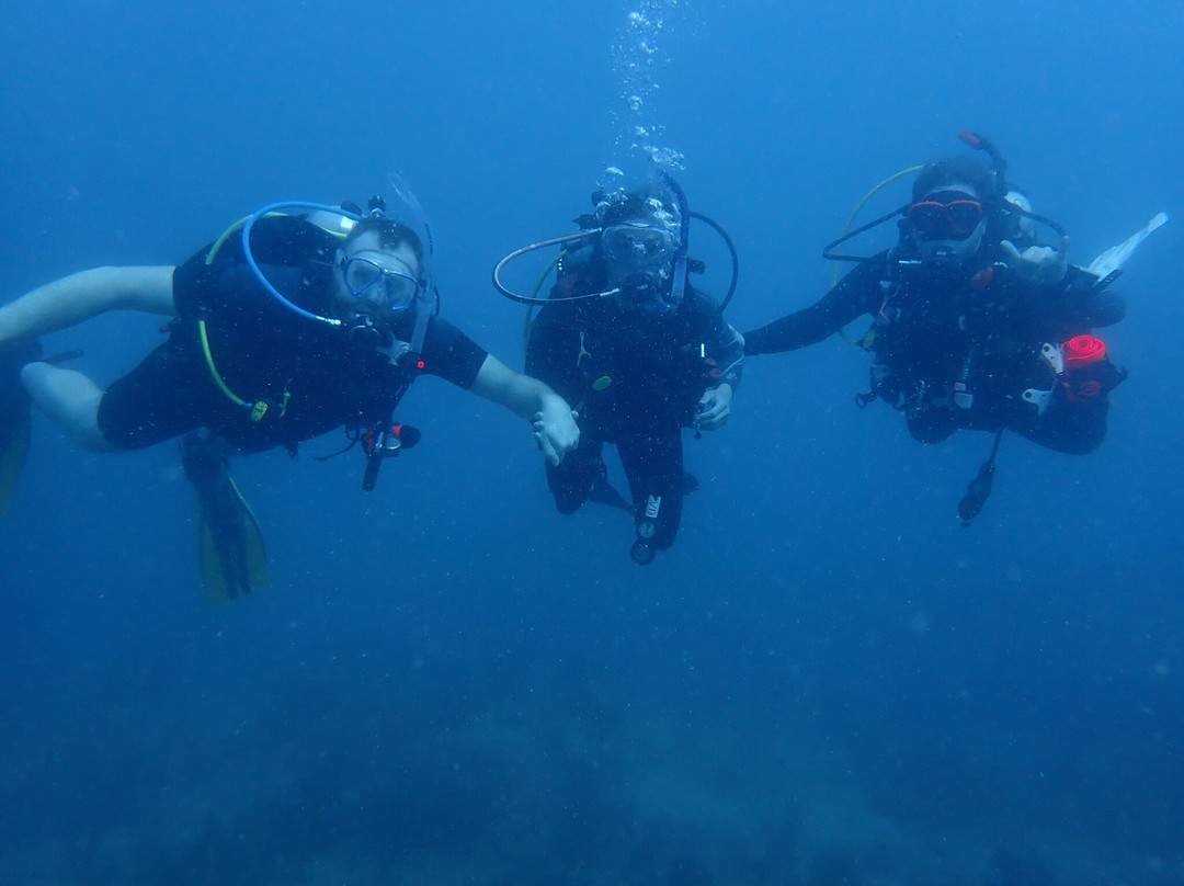 Pura Vida Divers-Singer Island必去景点