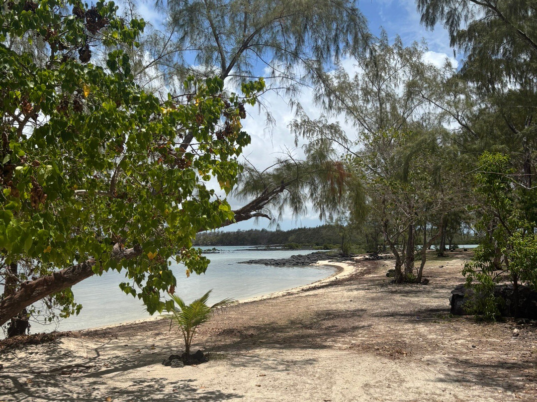 Le Grand Bleu Excursion-里维耶尔迪朗帕必去景点