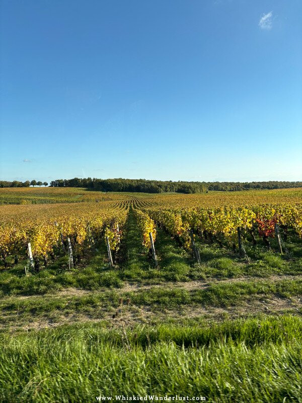 Vinitour Centre-Loire-桑塞尔必去景点