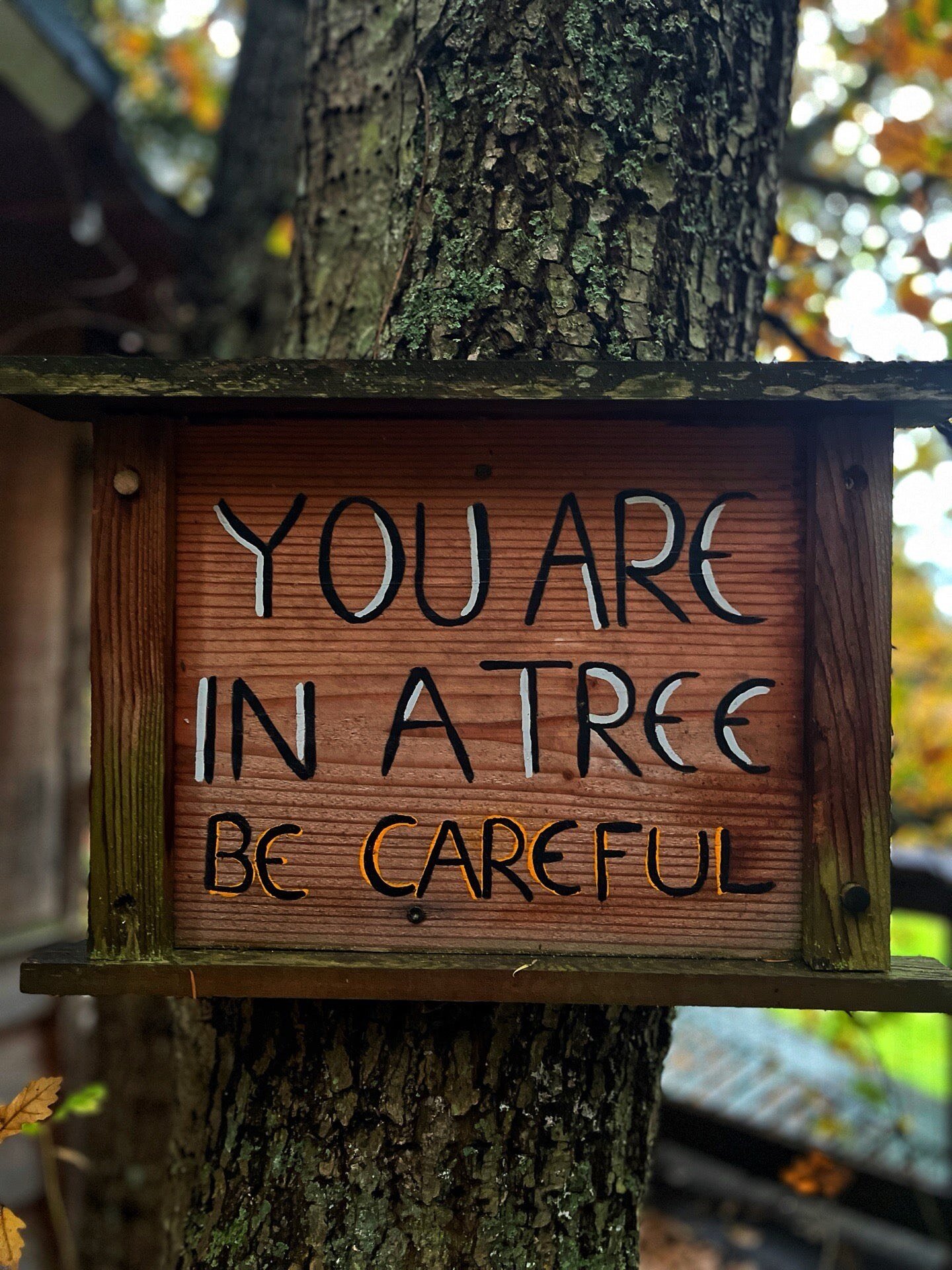 Doe Bay Resort & Retreat-客卧