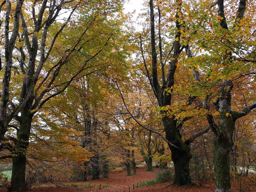 Mont Gargan-Saint-Gilles-les-Forets必去景点