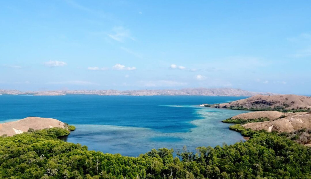 林卡岛-Rinca必去景点