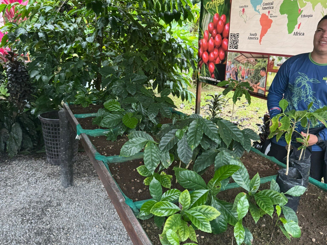 North Fields Coffee And Chocolate Tours-福德圣卡洛斯必去景点