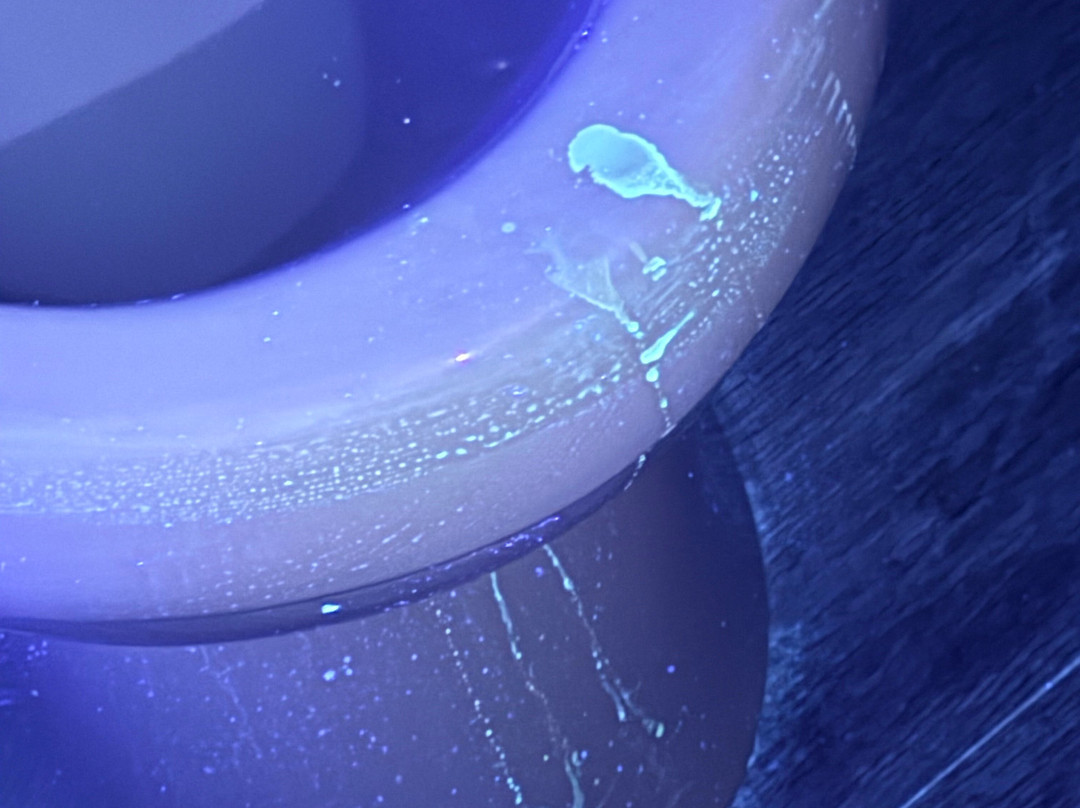 杜勒斯机场北雅乐轩酒店主图