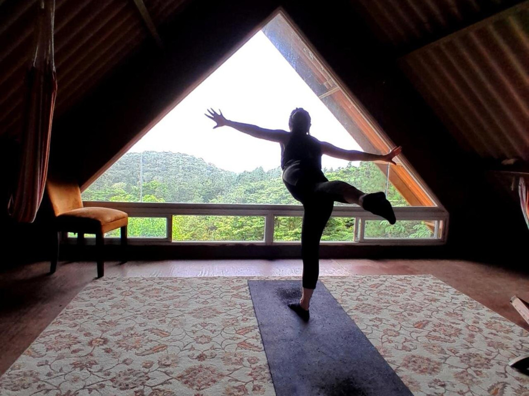 The Nest Rainforest Retreat