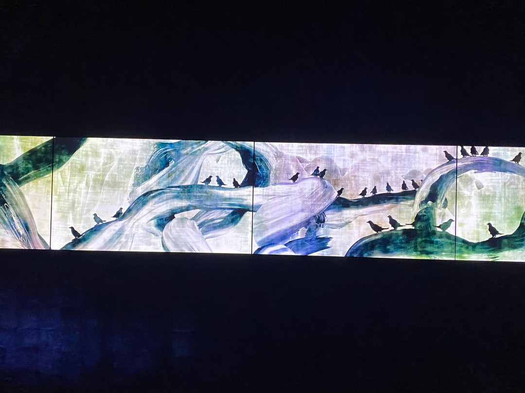 Teamlab Borderless Tokyo Azabudai Hills-港区必去景点