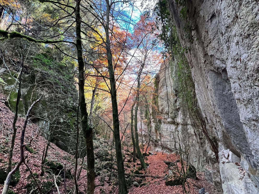 Bufadors de Bevi-Santa Maria de Besora必去景点