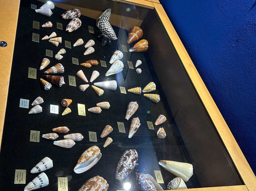 Le Musée de la Mer-Trois-Ilets必去景点