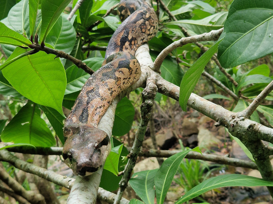 Madagascar Stunning Tour-Hell-Ville必去景点