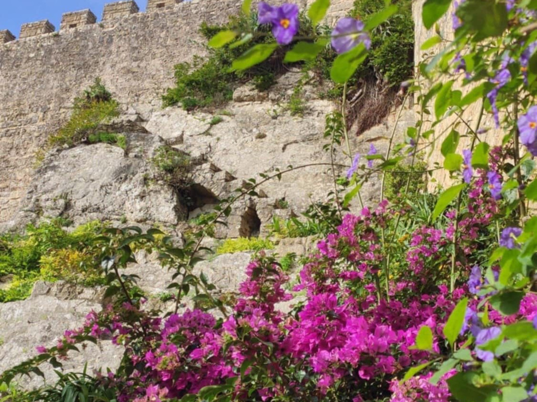Castelo de Óbidos-奥比都斯必去景点