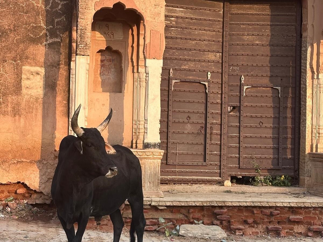 A Baisa’s Adventures-Shekhawati必去景点