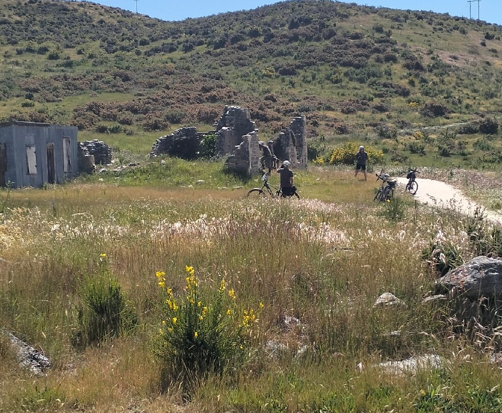 Cycle Journeys Twizel-特威泽尔必去景点