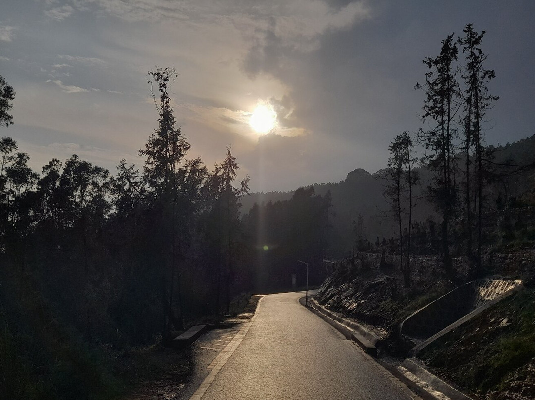 Entoto Natural Park-亚的斯亚贝巴必去景点