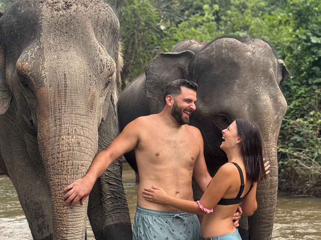 Pon Elephant Thailand-清迈必去景点