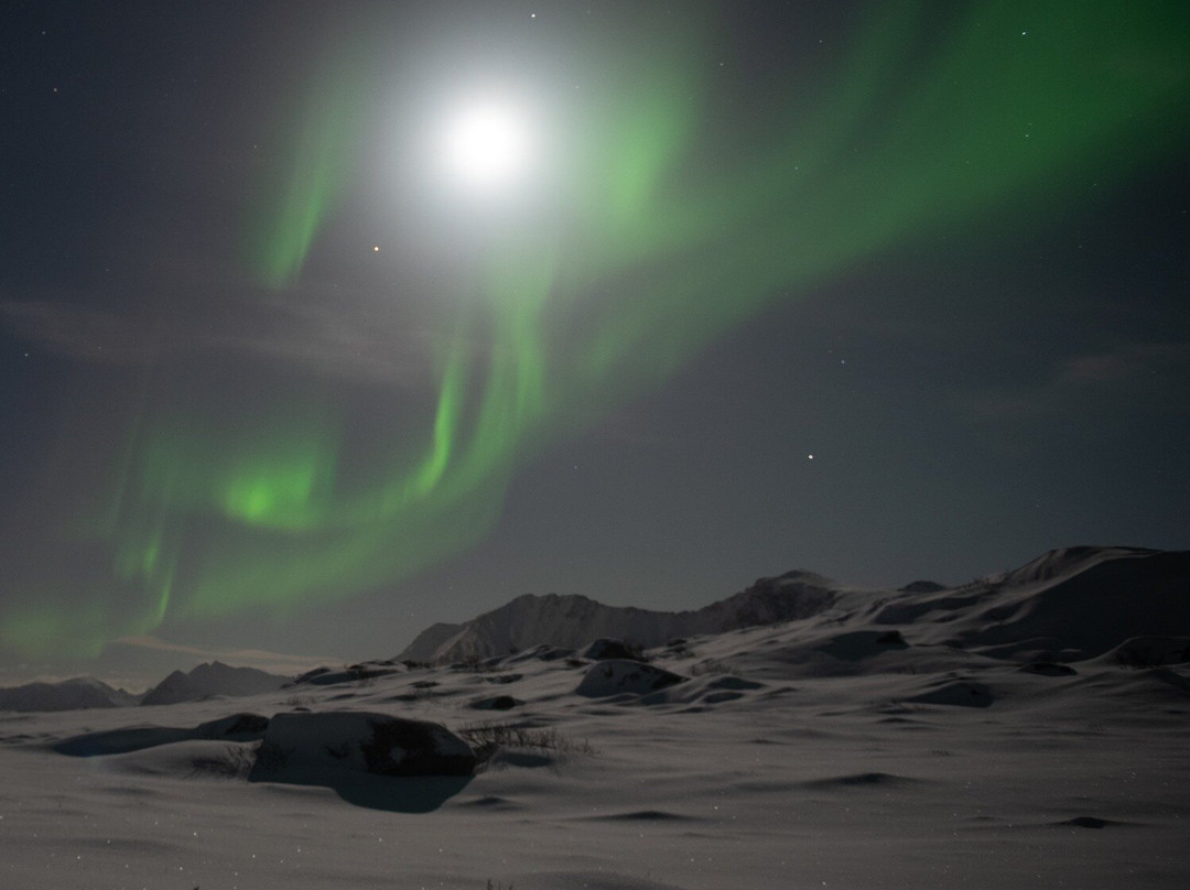 Raido Adventures-斯沃尔韦尔必去景点