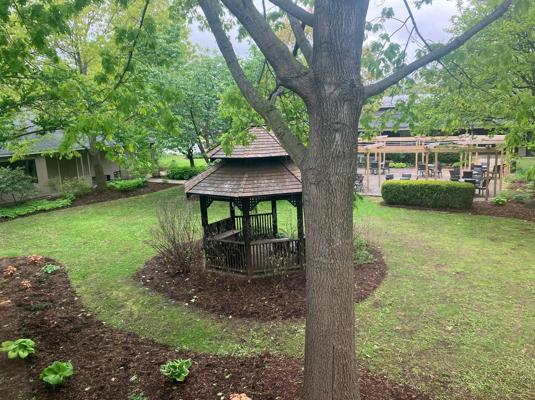 伯灵顿希尔顿逸林酒店主图