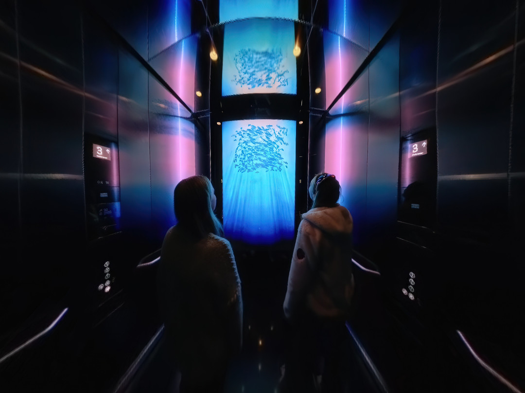 Ocean Stories-霍宁斯沃格必去景点