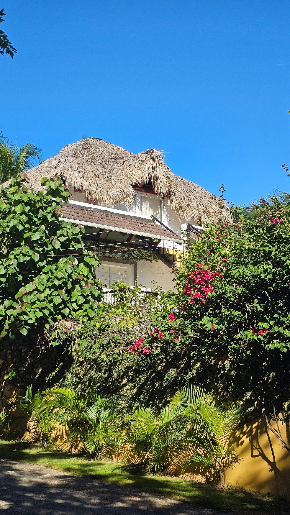 Surfbreak Cabarete B&B Surf And Yoga-官方