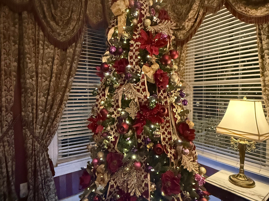 Violet Hill Bed And Breakfast主图