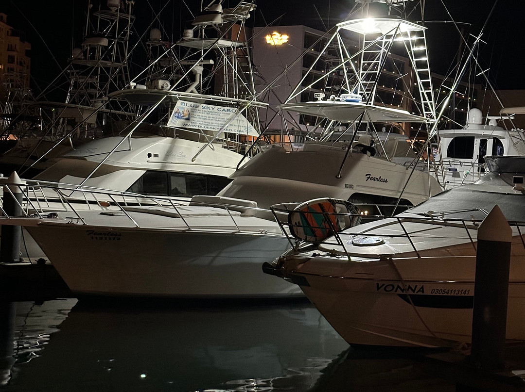 Blue Sky Cabo Fishing and Tours-卡波圣卢卡斯必去景点