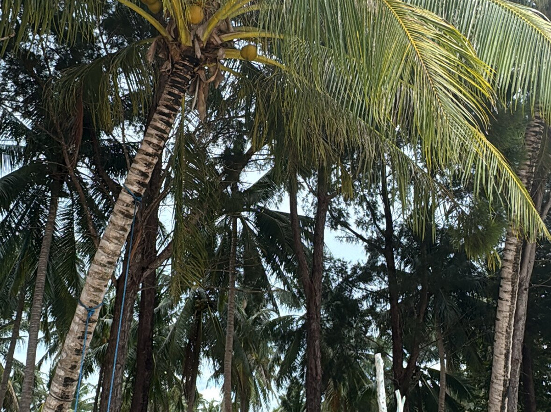 Balabac Tour By The Wanderwalkers-巴拉巴克必去景点