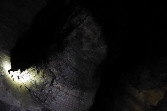 Dudley Canal & Tunnel Trust-Dudley必去景点