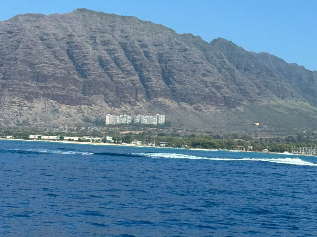 Iruka Hawaii Dolphin-火奴鲁鲁必去景点