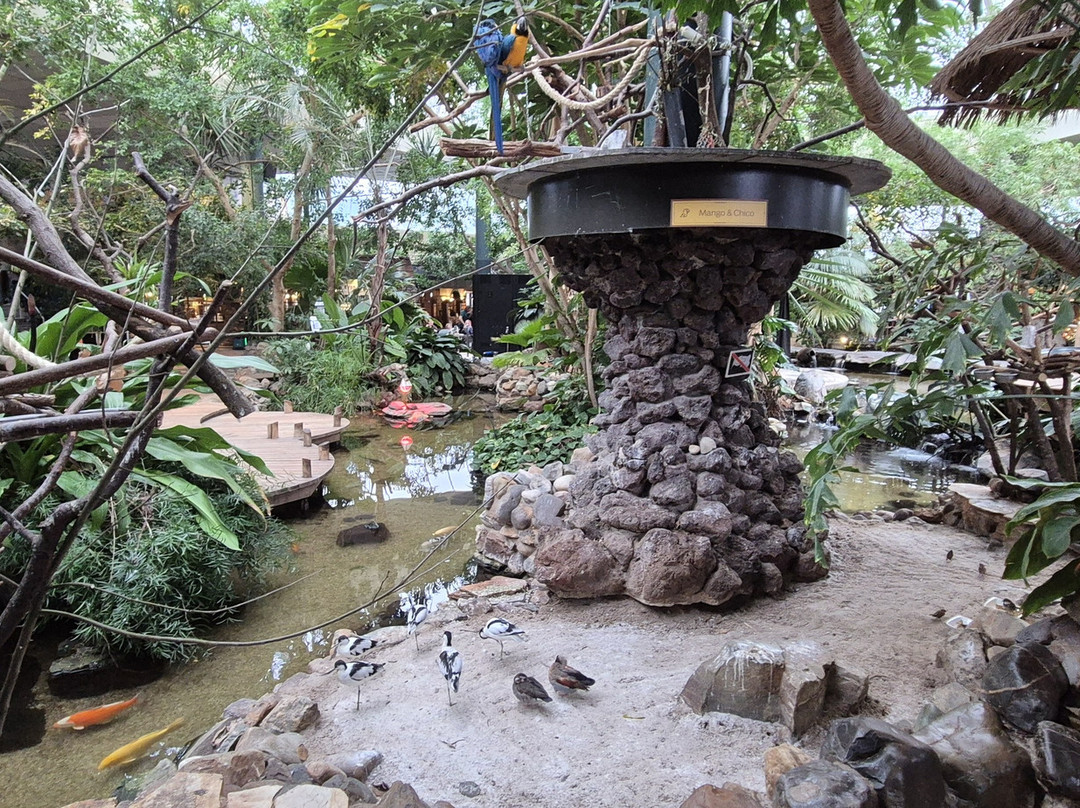 Center Parcs Het Meerdal主图