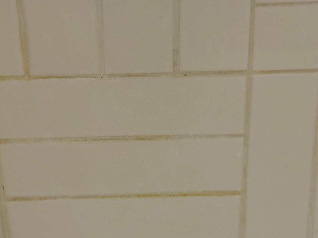 Moxy Kaunas Center主图