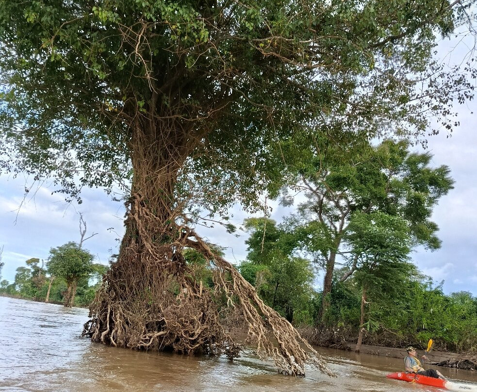 Mekong Ramsar Trail-Stung Treng必去景点
