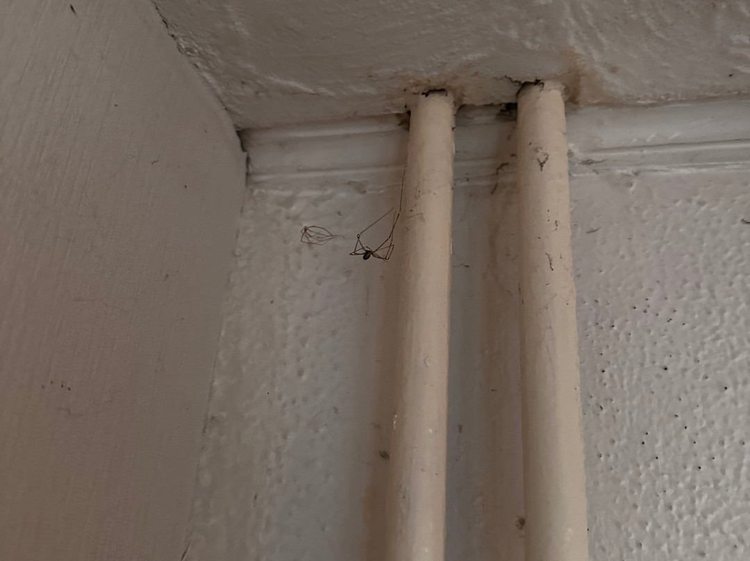 Hôtel des Platanes主图