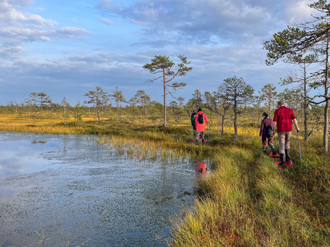 Hey Estonia-塔林必去景点