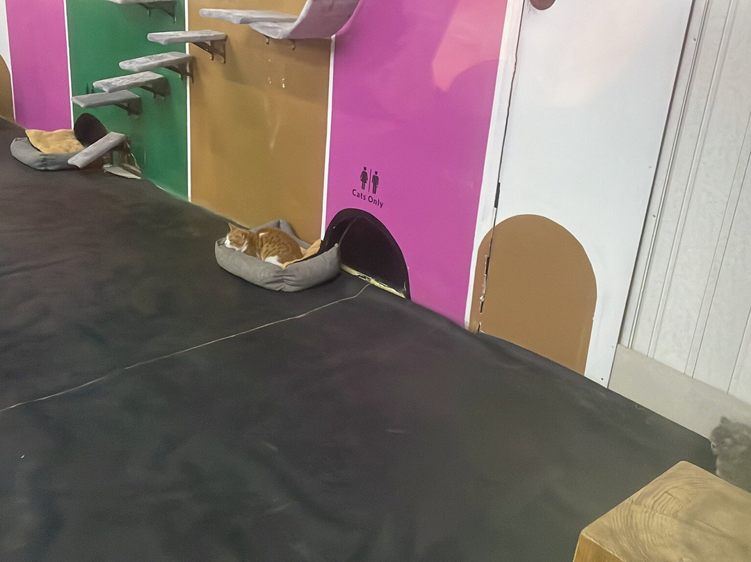 Festival Land Ajman-阿治曼必去景点