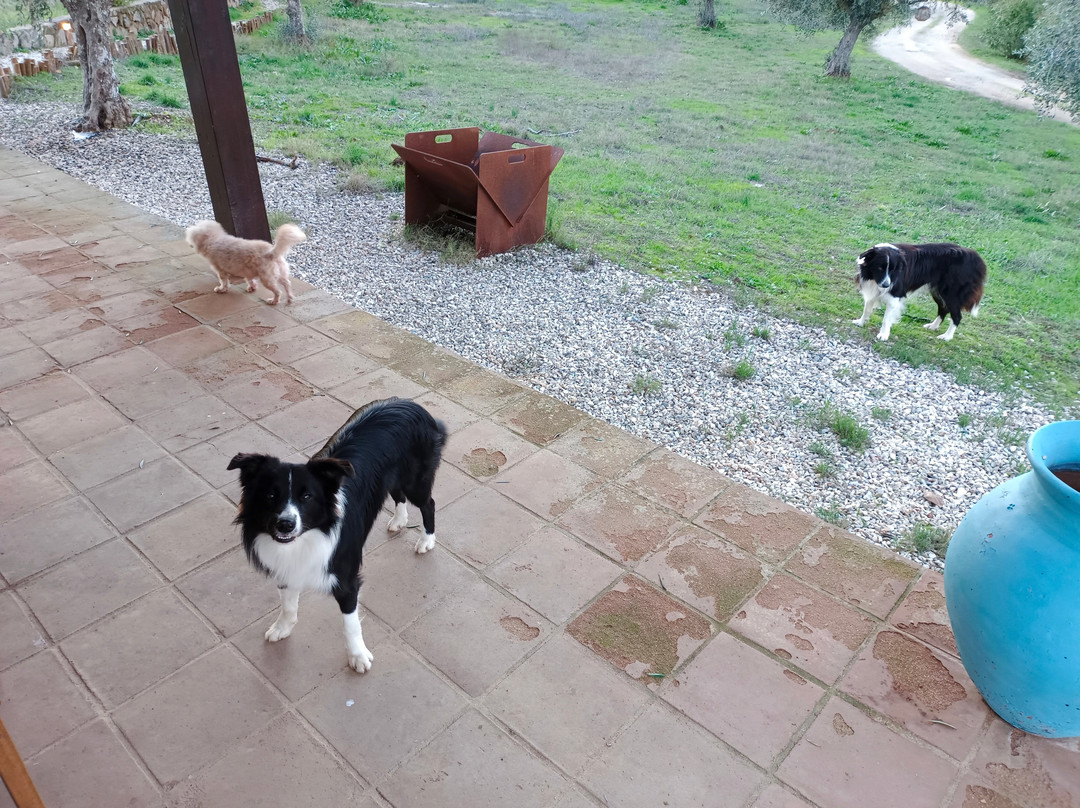 Quinta da Tapada de Sao Pedro主图