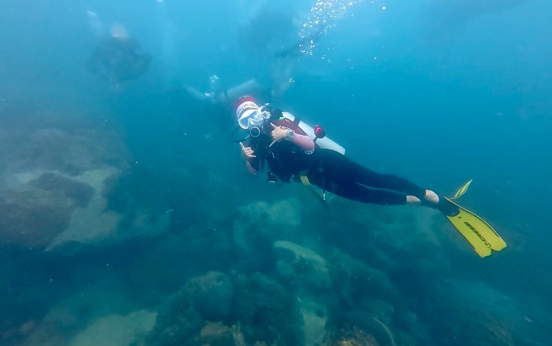 Scuba Nation Diving Centre-高龙撒冷岛必去景点