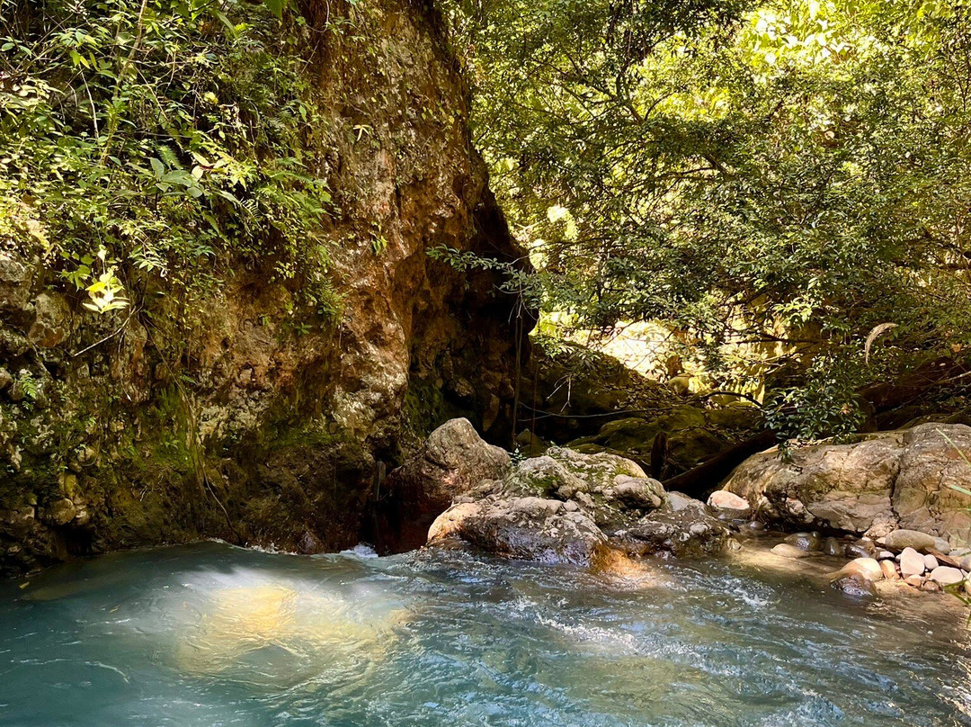 La Leona Waterfall Costa Rica-Curubande必去景点