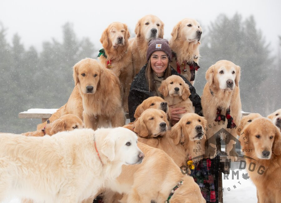 Golden Dog Farm-Jeffersonville必去景点
