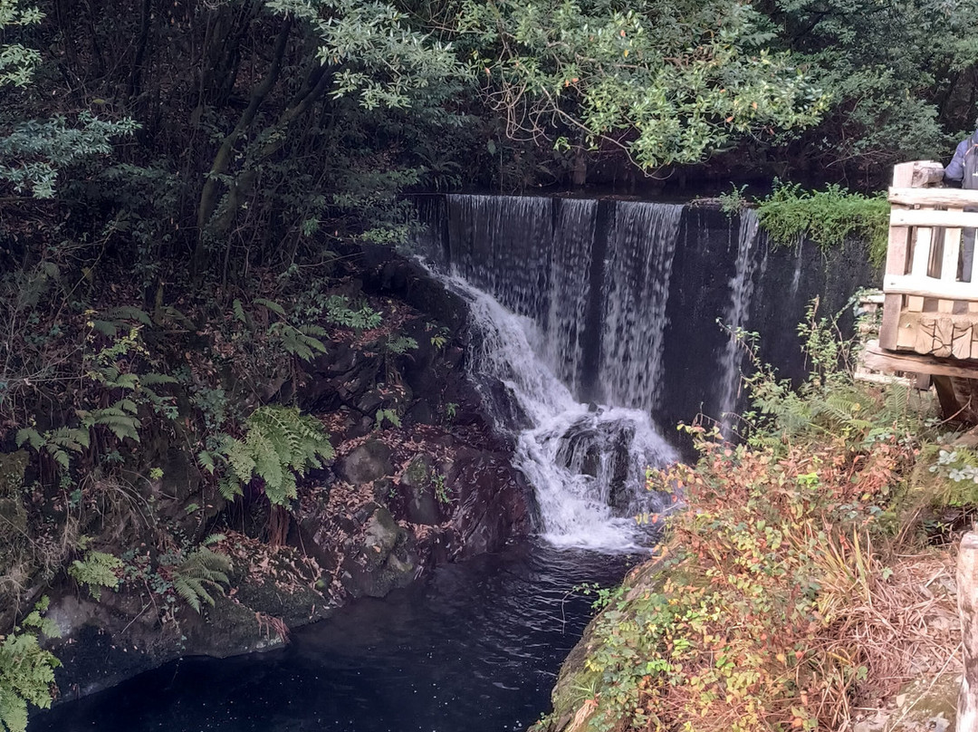Museo Molinos Mazonovo-Taramundi必去景点
