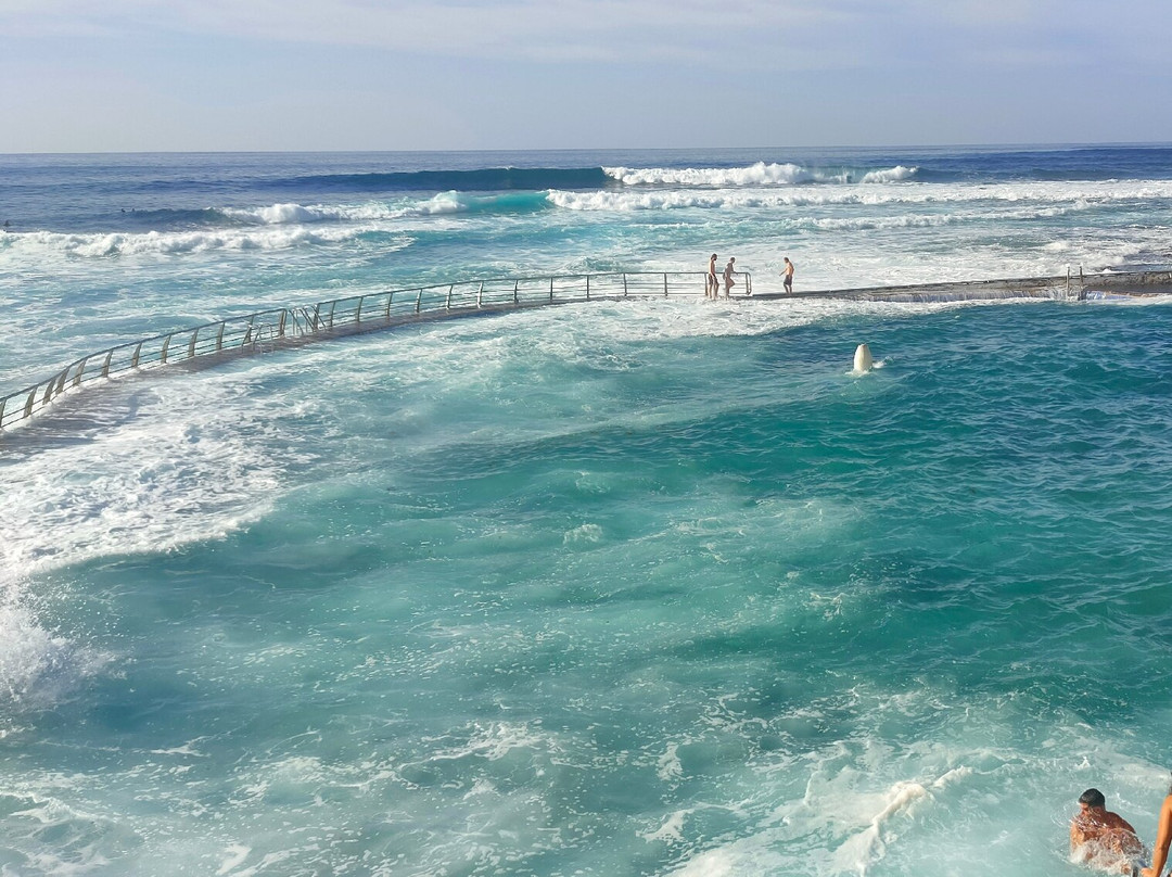 Piscina natural Punta del Hidalgo-Punta del Hidalgo必去景点