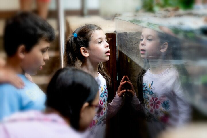 Virginia Aquarium & Marine Science Center-弗吉尼亚海滩必去景点