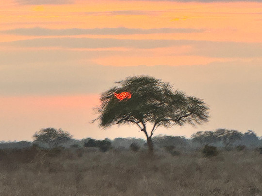 Africana Adventures Kenya-瓦塔木必去景点