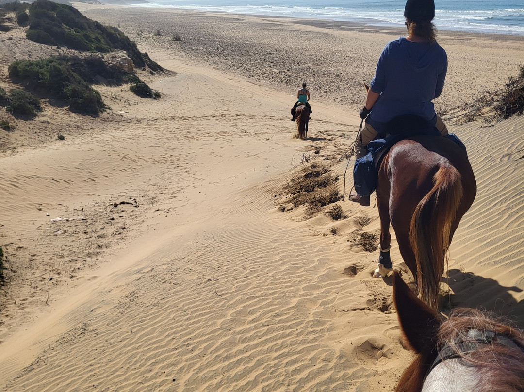 Mogador Horse-Diabat必去景点