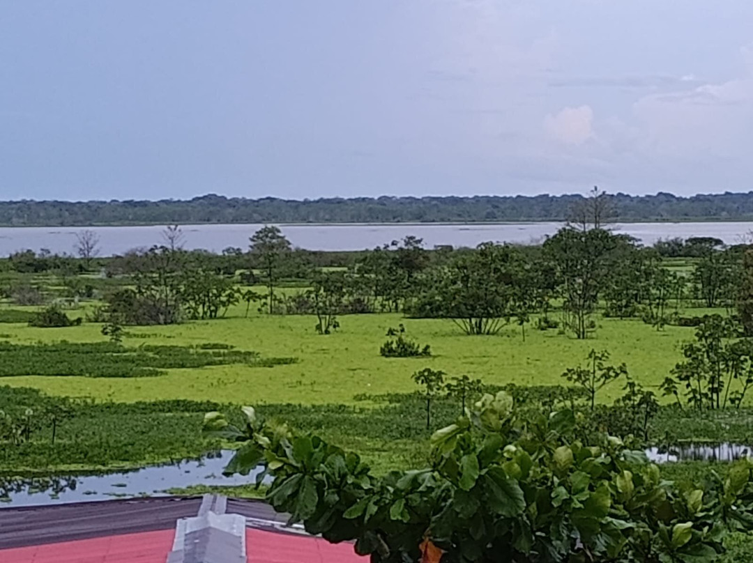 Bulevard Iquitos-伊基托斯必去景点